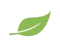 PenFi Leaf Icon