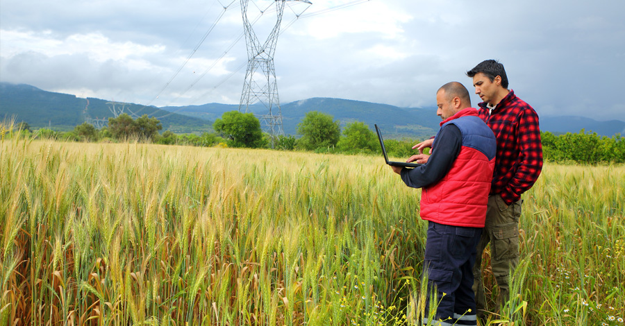 Two men in a hydro field